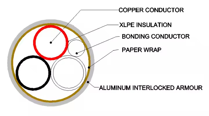 TECK90 600V Interlocked Aluminum Armor Cable | 14/2 & 12/2 RW90 XLPE Copper | cUL FT4-Picture2