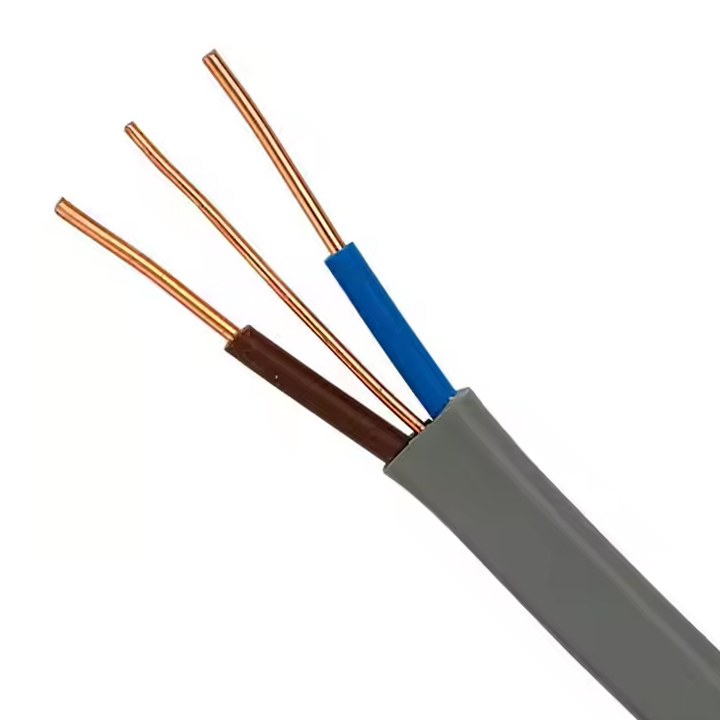 Twin & Earth Flat Cable
